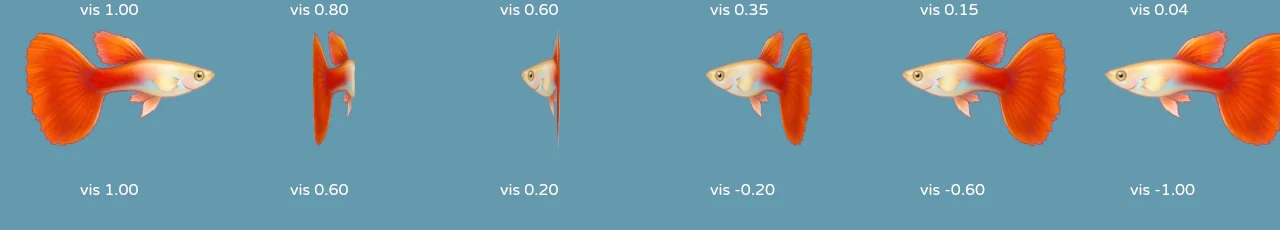Six freeze-frames of the new turn: the nose commits first, the body sweeps through overlapping itself, the fan unfurls on the far side