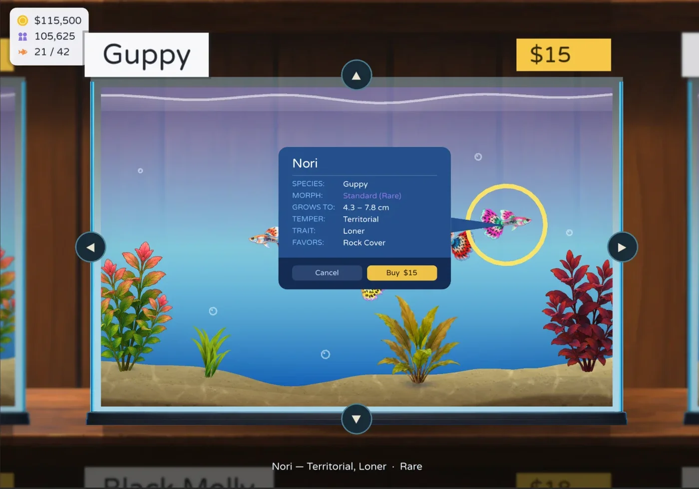 Walked up to the guppy tank with Nori's inspect card open: name, temperament, and a growth range instead of an exact size, with the shop blurred behind.