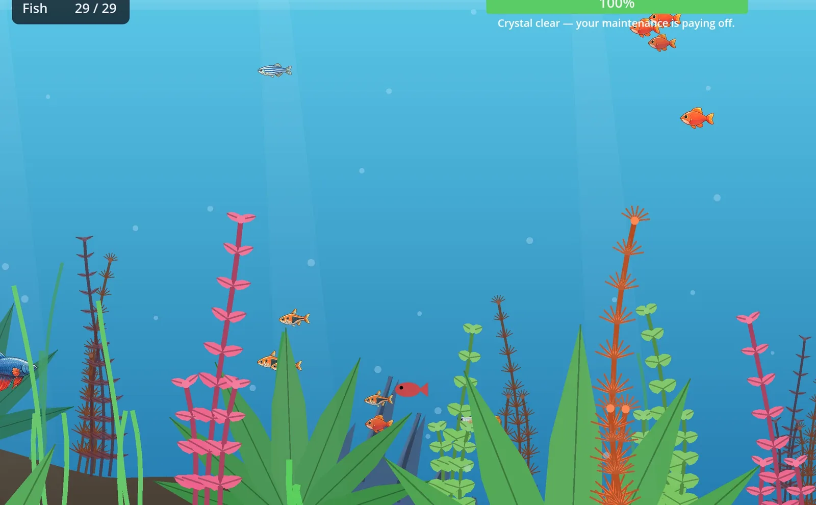 After: real sprites with species identity — a striped Zebra Danio, tetras with fin detail, a finned betta.