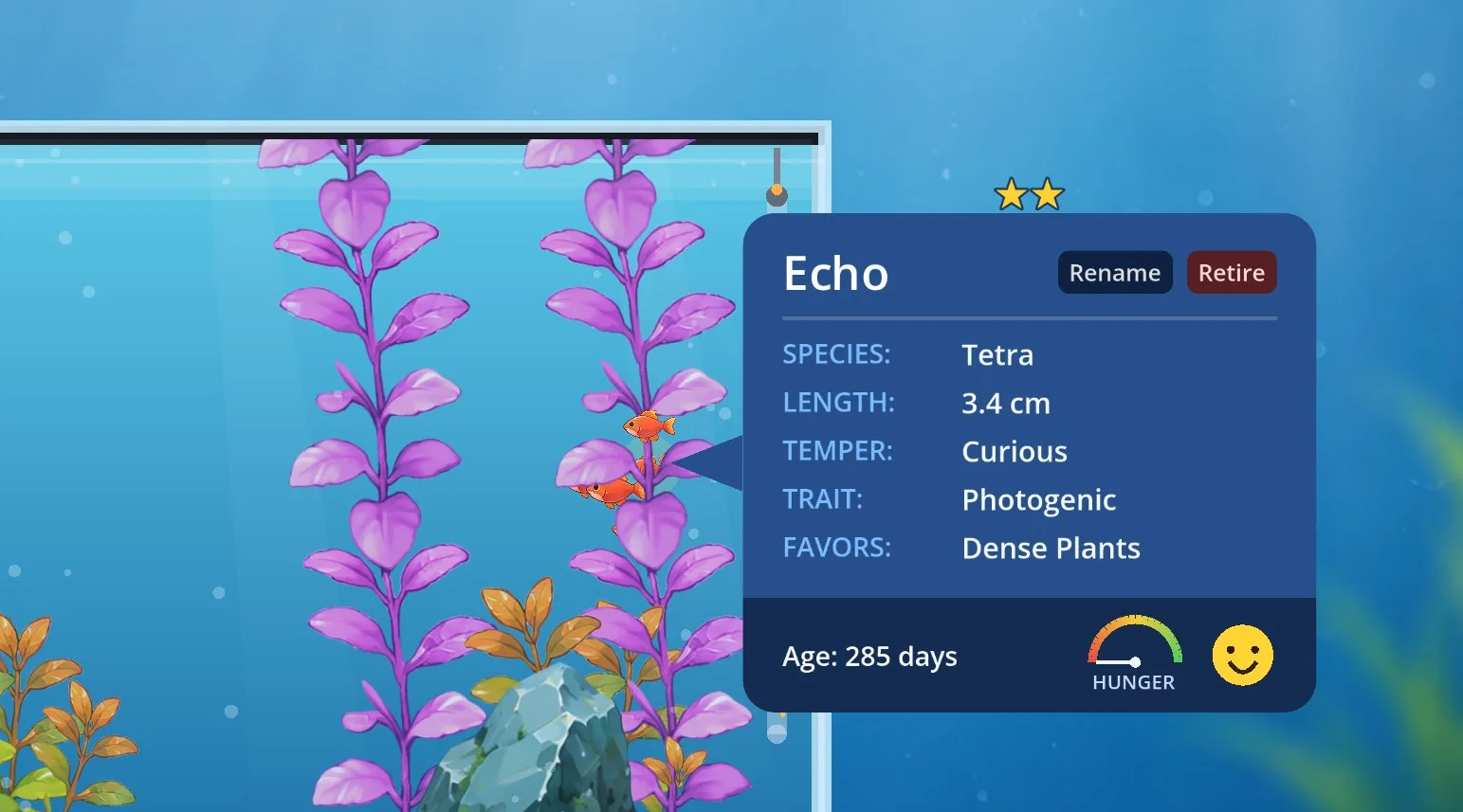 Every fish has a story now — meet Echo, a curious, photogenic Tetra who favors dense plants.